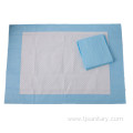 Quick-dry doggy pee pad with scent